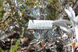 11829_10151135562417415_1359601500_n