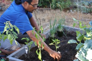 My husband, David Malo