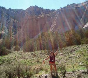 1234192_560845693973639_385445737_n