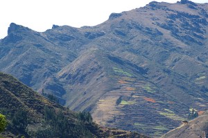 8280898366_a22b0aebf5