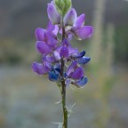 When the flower revealed herself.