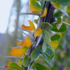 Role Play Meets Reality